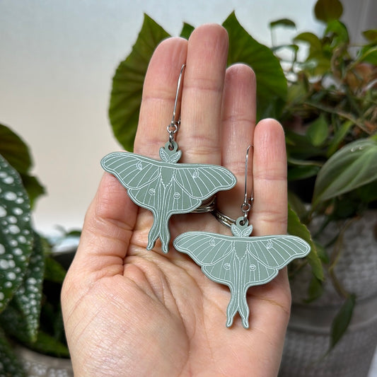 Acrylic Luna moth silver toned