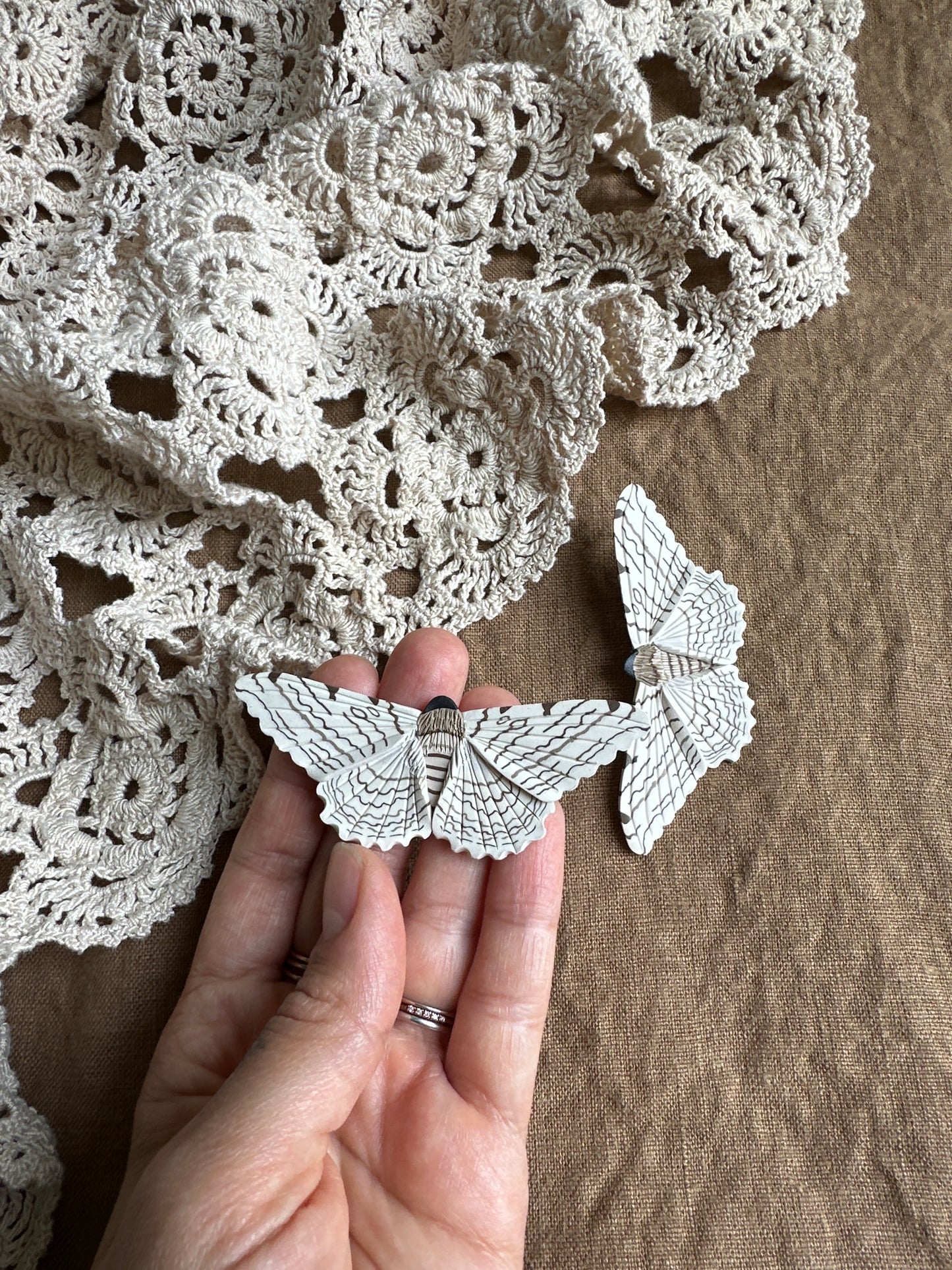 Large White Witch moth studs