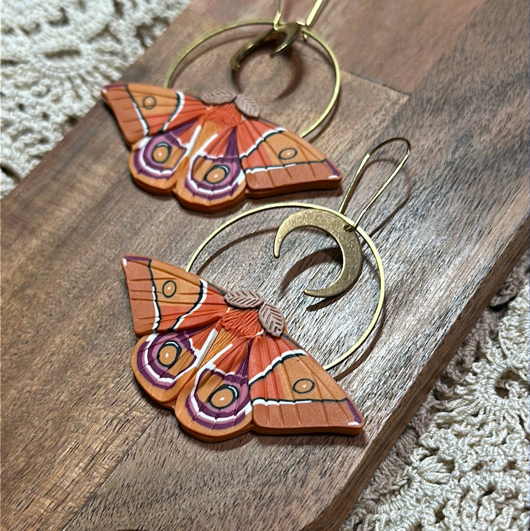 Madagascar bullseye Moth hoop earrings