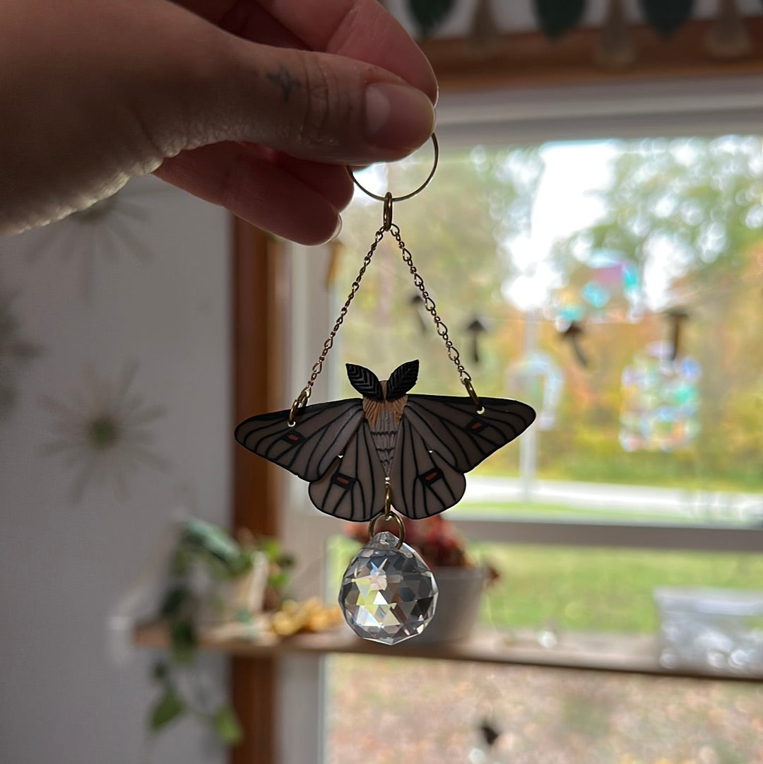 Ghostly silkmoth suncatcher