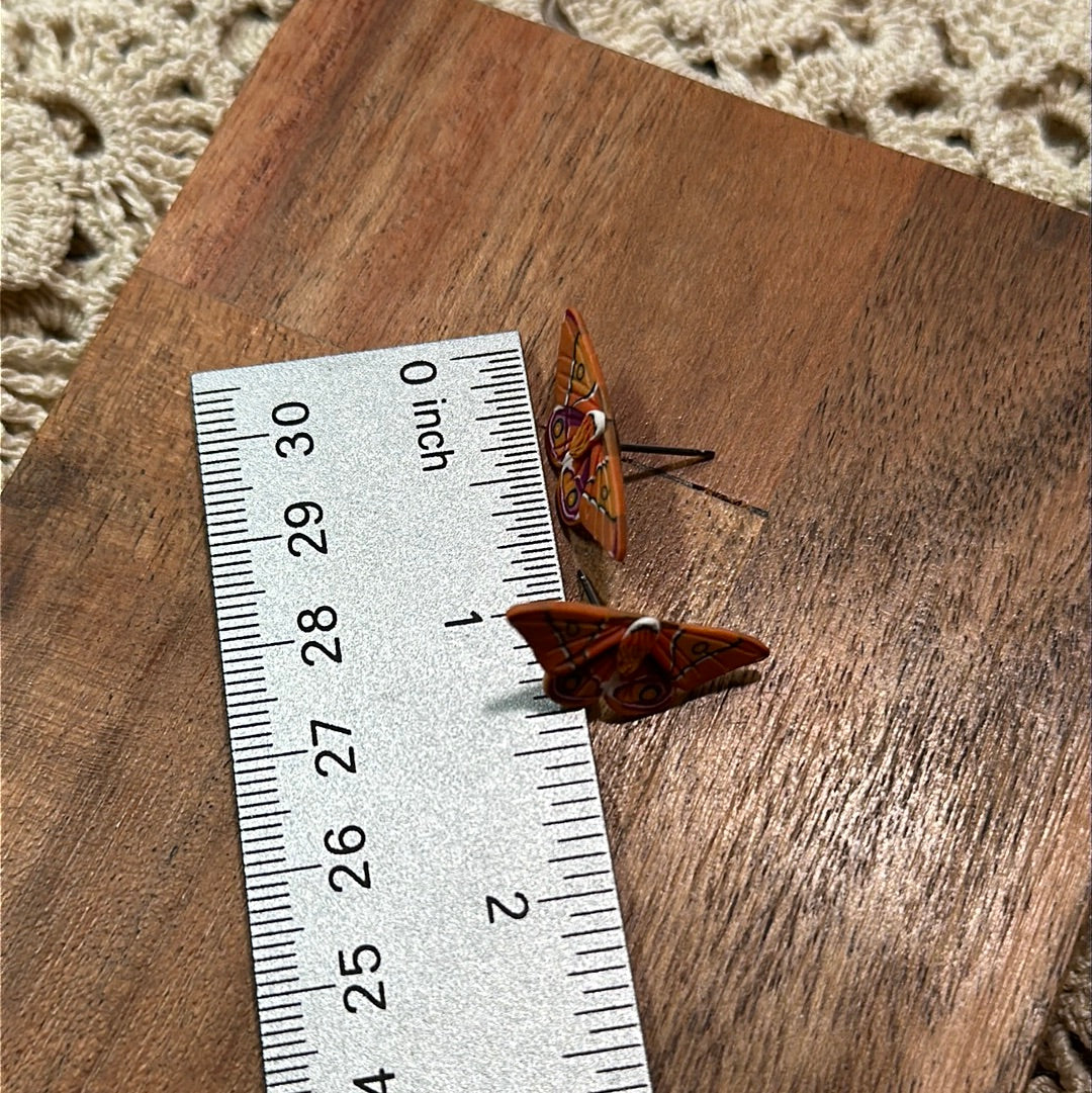 Micro mini Madagascar bullseye moth studs