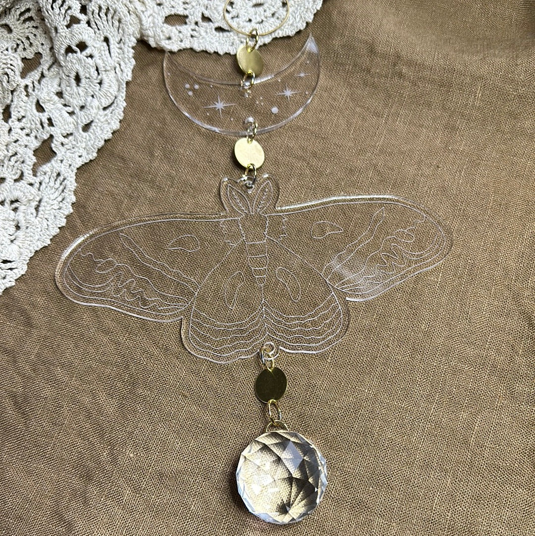 Large acrylic cecropia suncatcher