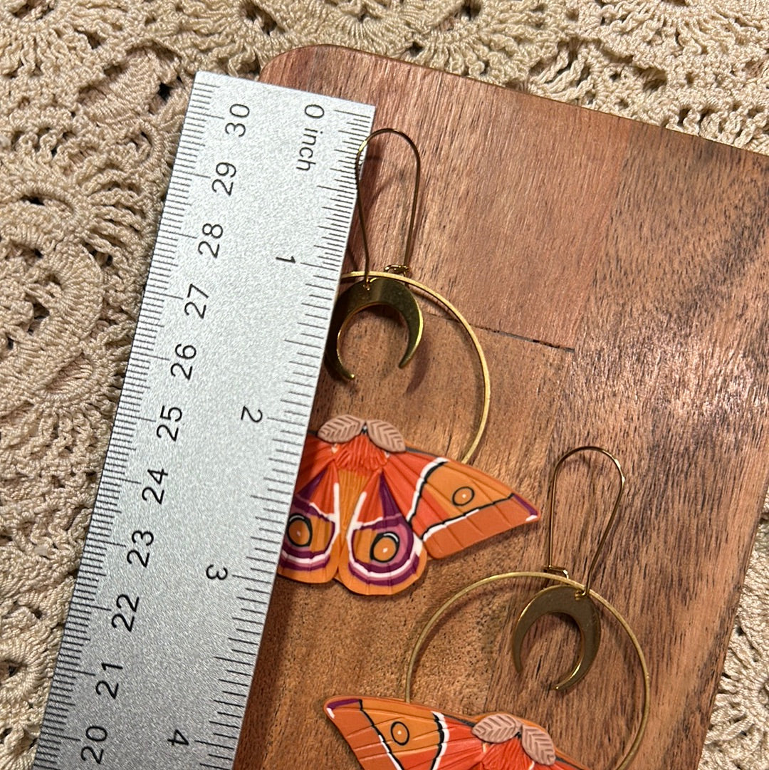 Madagascar bullseye Moth hoop earrings