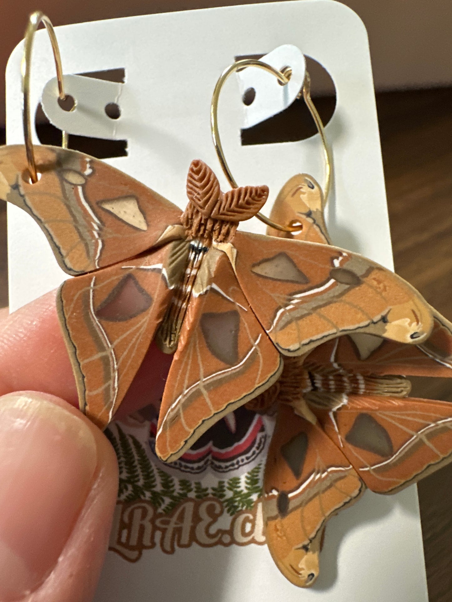 Atlas Moth mini hoops