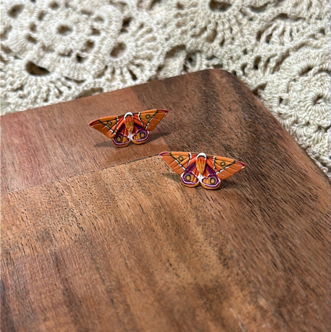 Micro mini Madagascar bullseye  moth studs