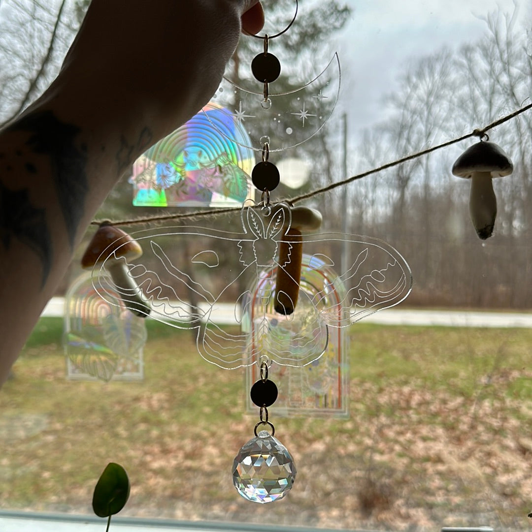 Large acrylic cecropia suncatcher