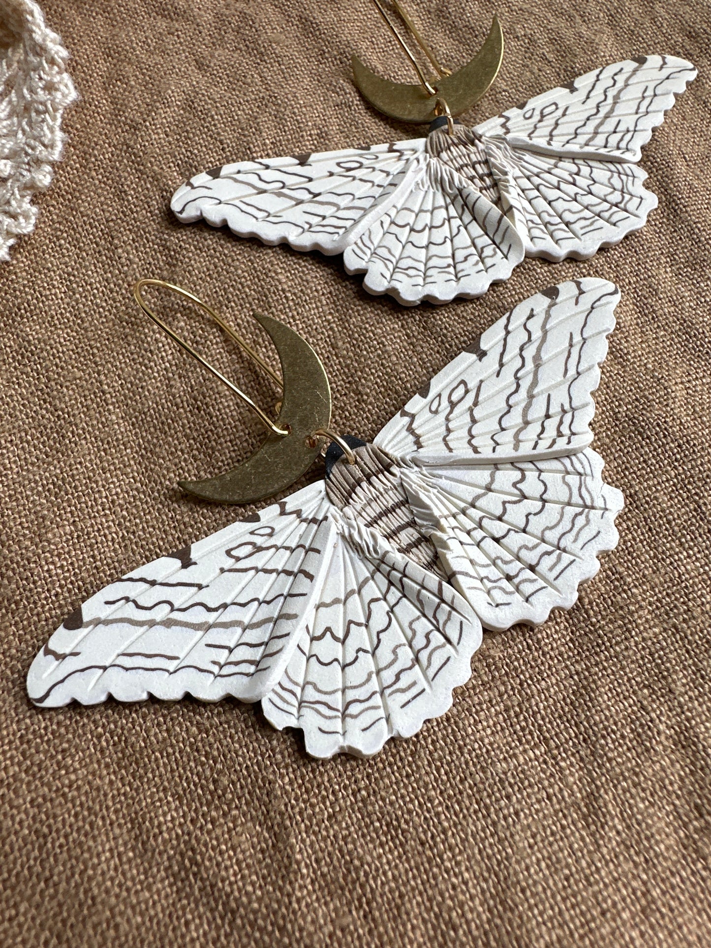 Large White Witch moth dangles