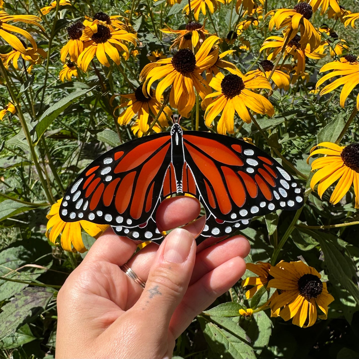 Monarch butterfly page holder
