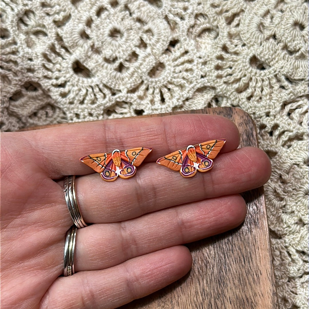 Micro mini Madagascar bullseye  moth studs