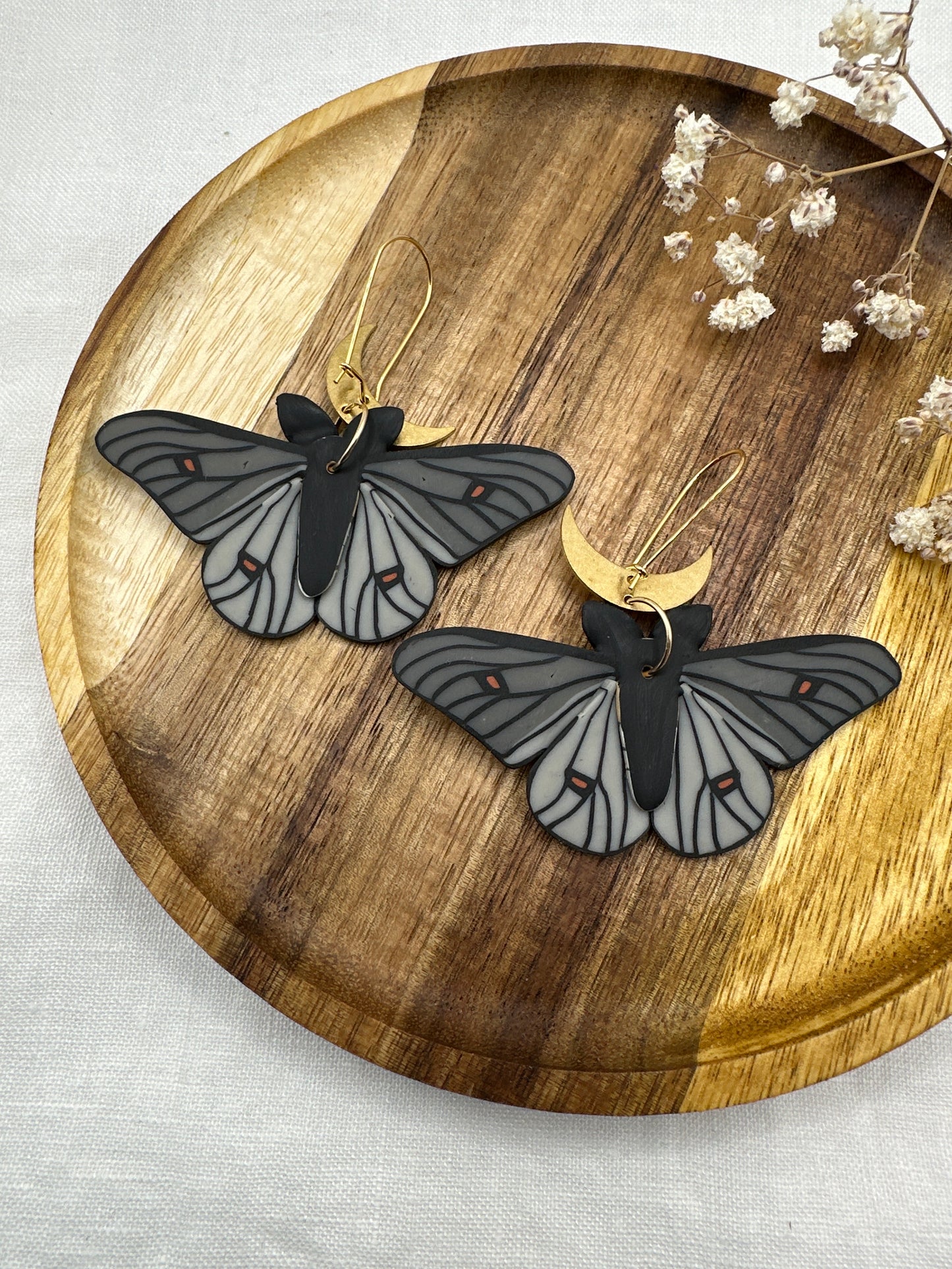 Ghostly silkmoth dangles