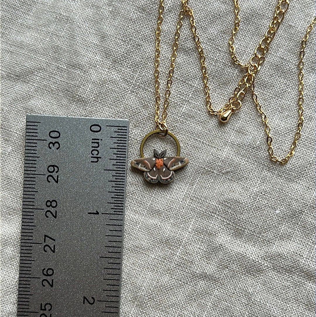Cecropia moth necklace