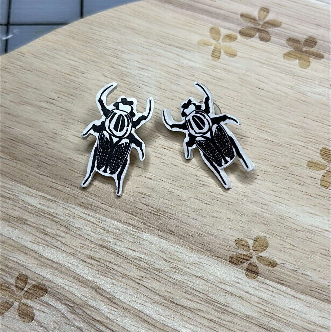 Goliath beetle studs