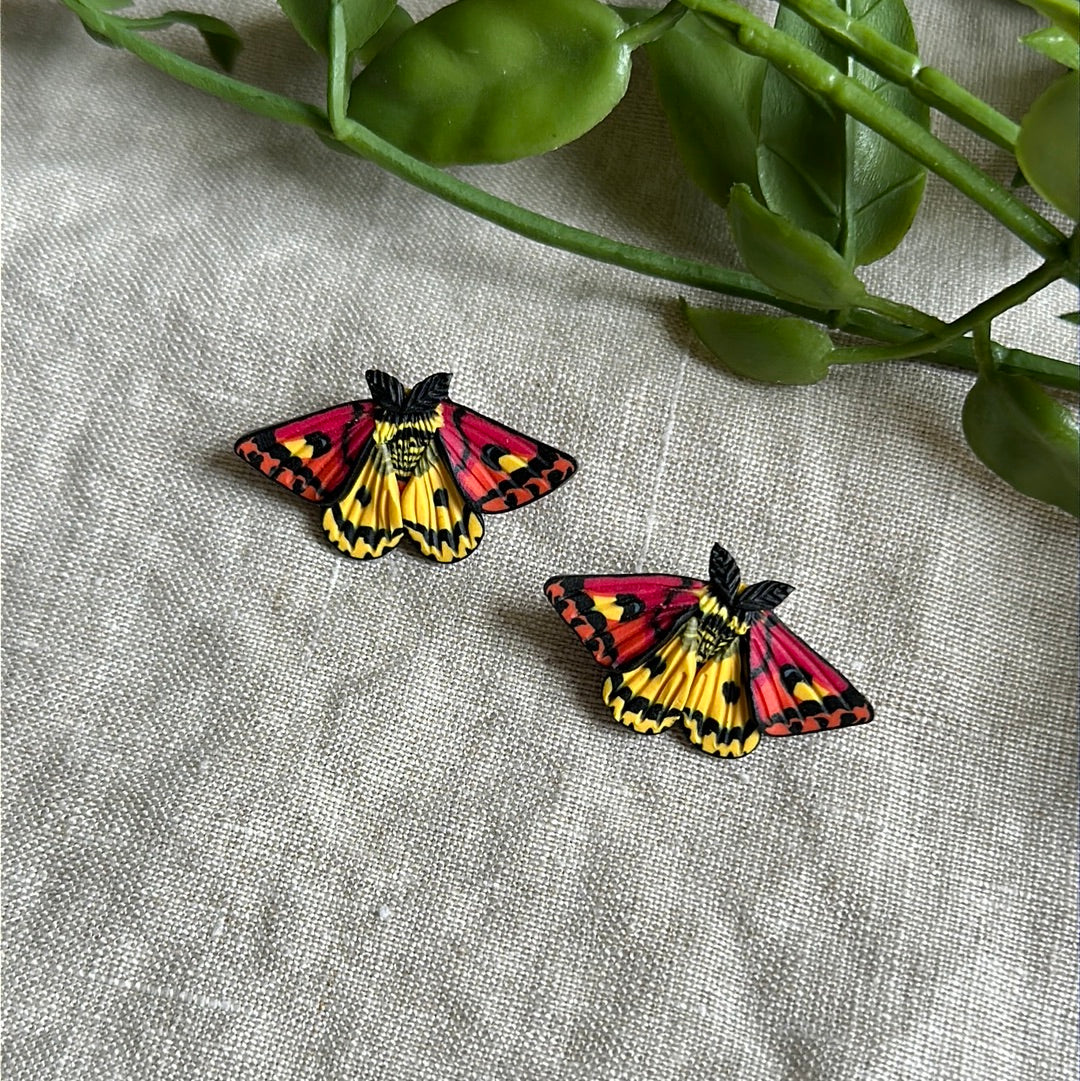 Small Western sheep moth studs