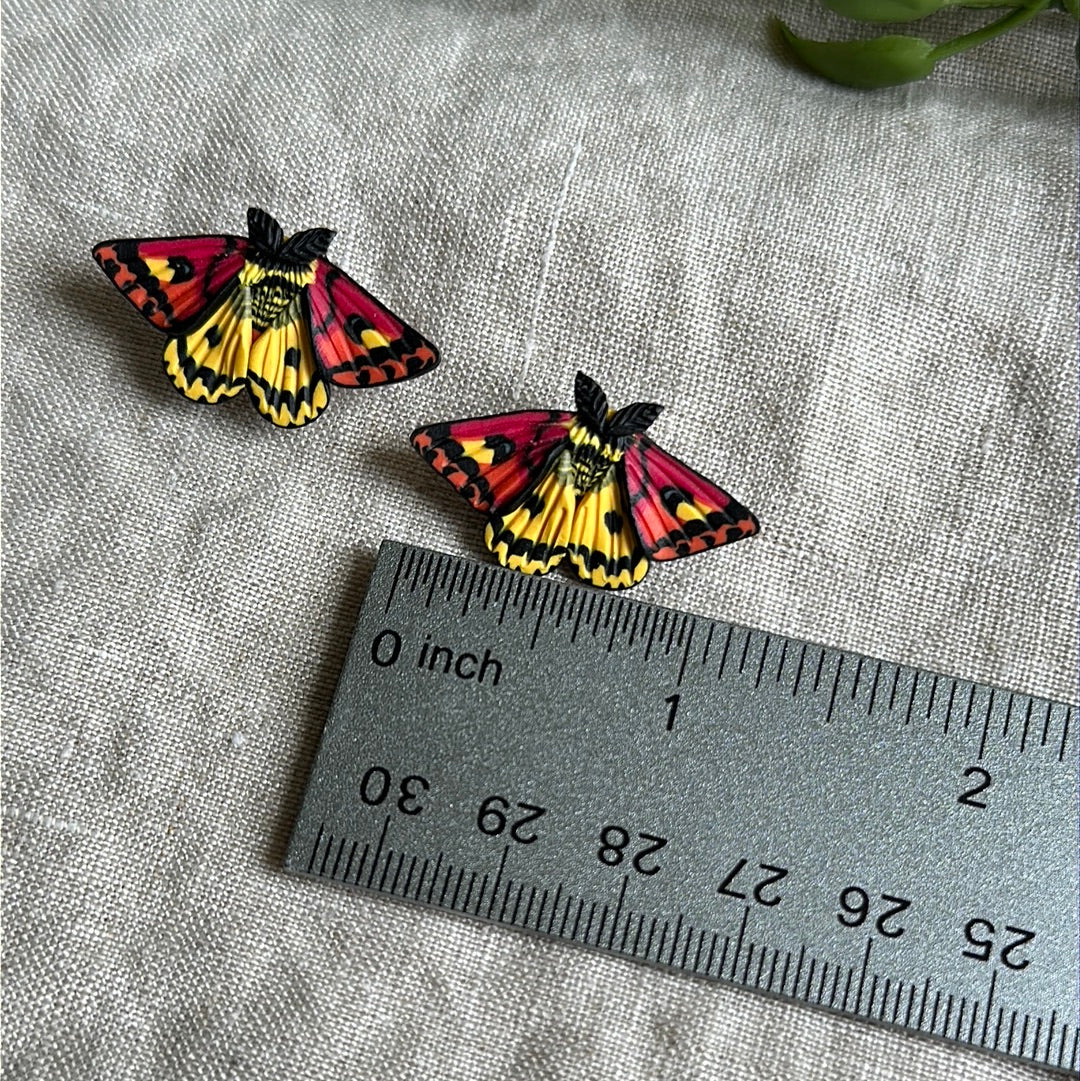 Small Western sheep moth studs
