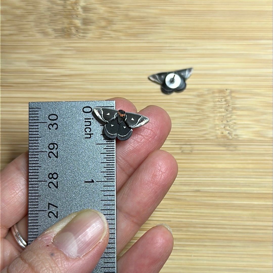 Micro mini calleta silkmoth studs