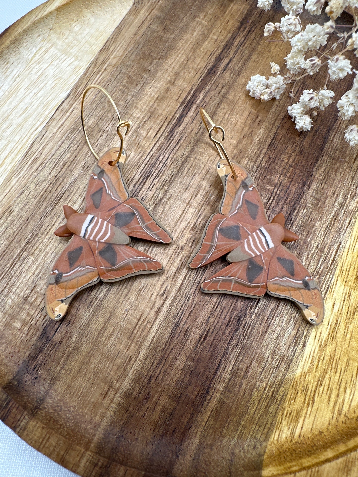 Atlas Moth mini hoops