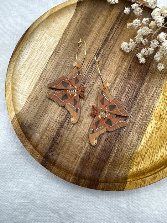 Atlas Moth mini hoops