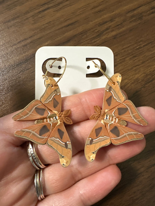 Atlas Moth mini hoops