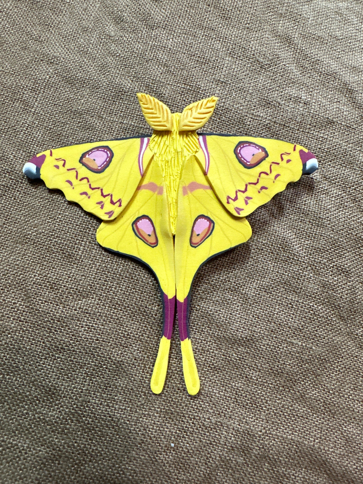 Comet moth hair clip