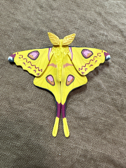 Comet moth hair clip