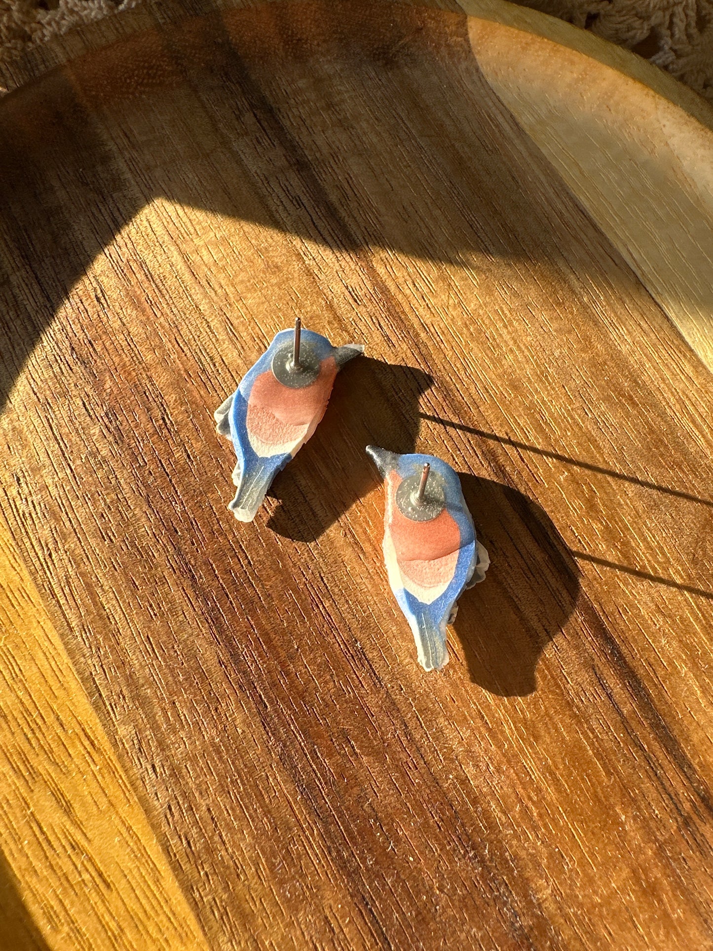 Eastern bluebird studs