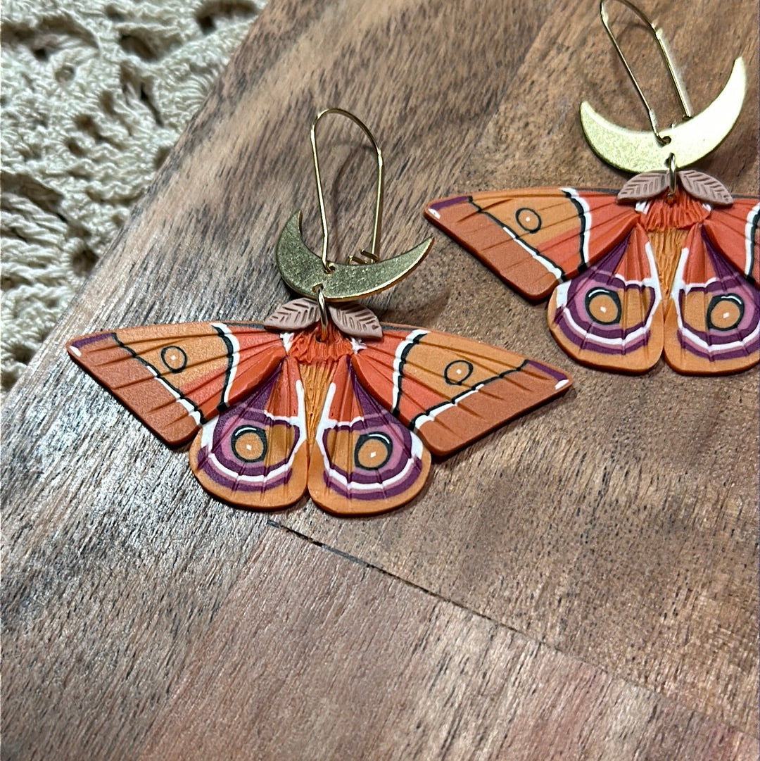 Madagascar bullseye moth dangles