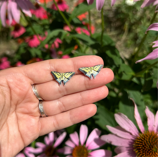 Micro mini eastern tiger swallowtail butterfly studs