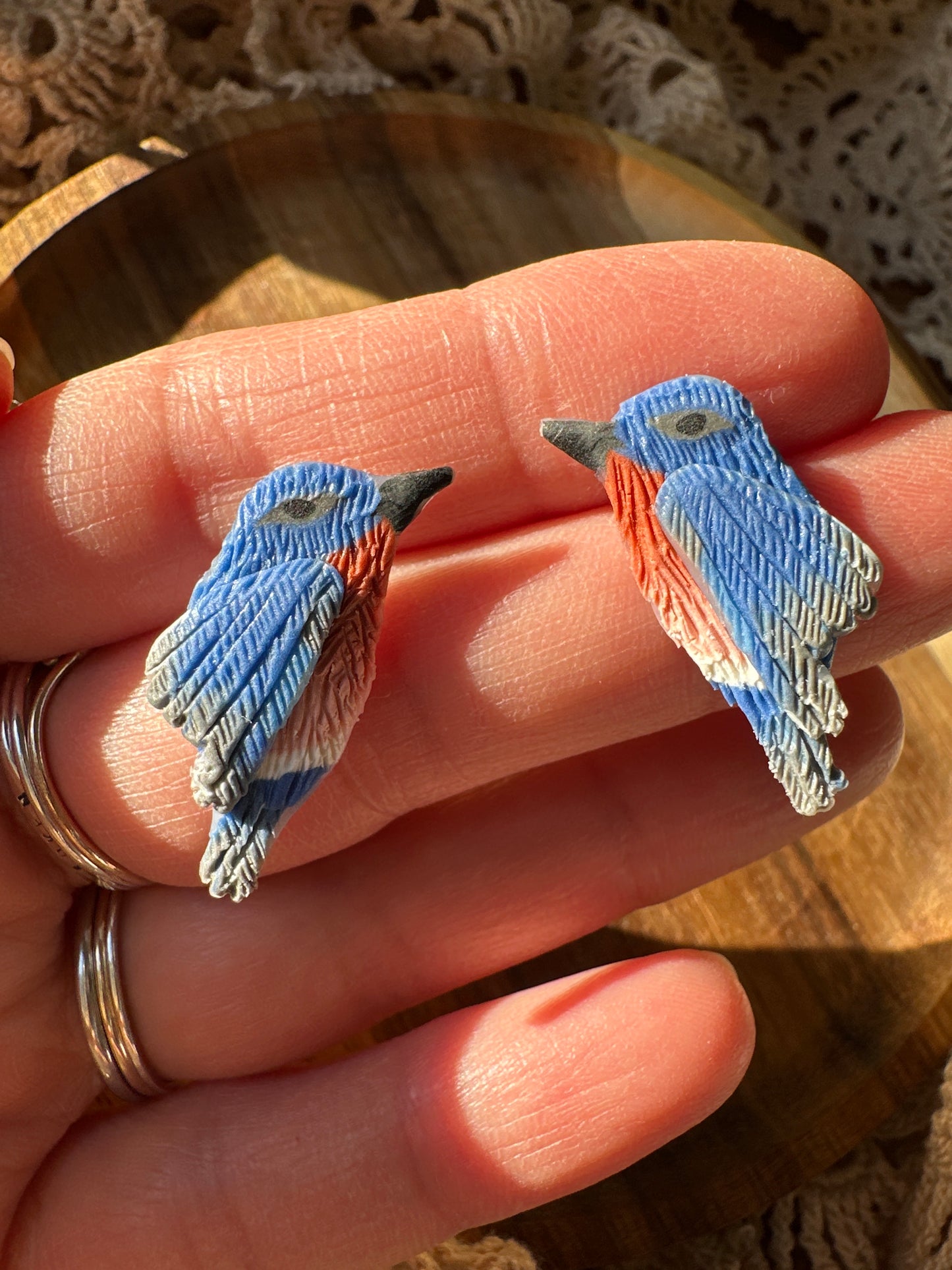 Eastern bluebird studs