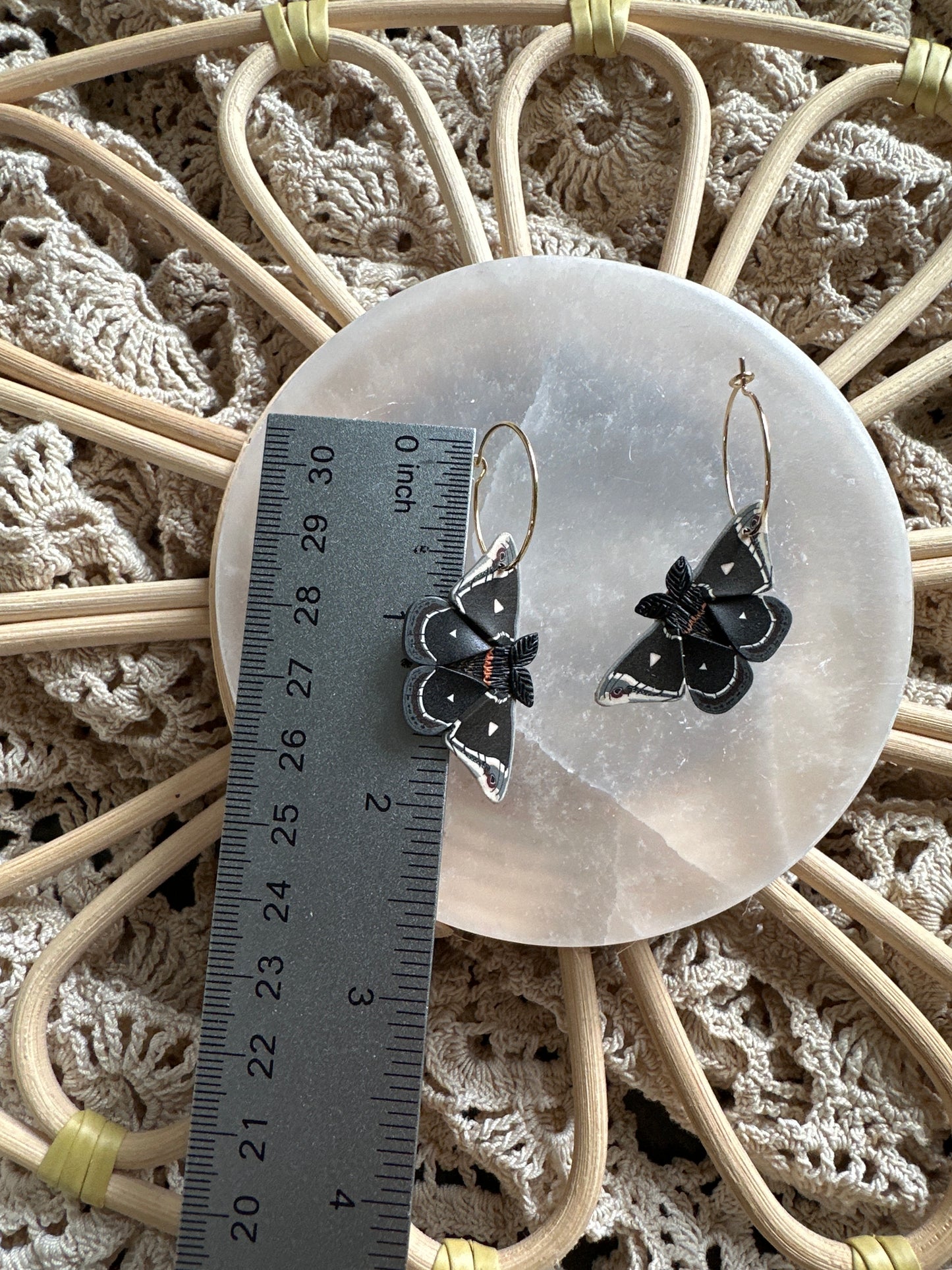 Small Caletta silkmoth hoops