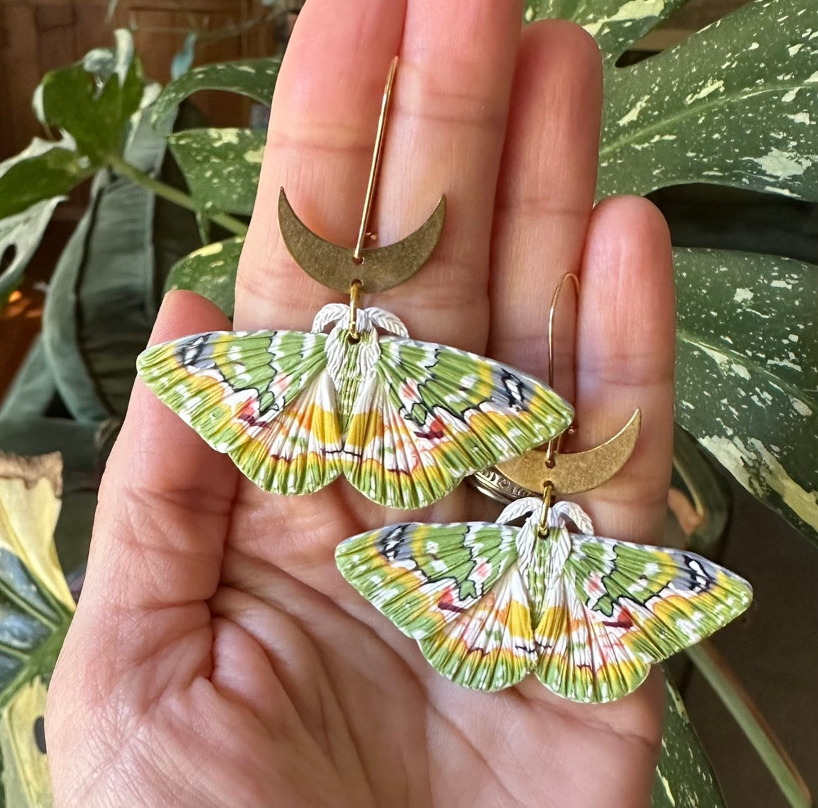 Oriental orange-banded green geometer moth and moon dangles