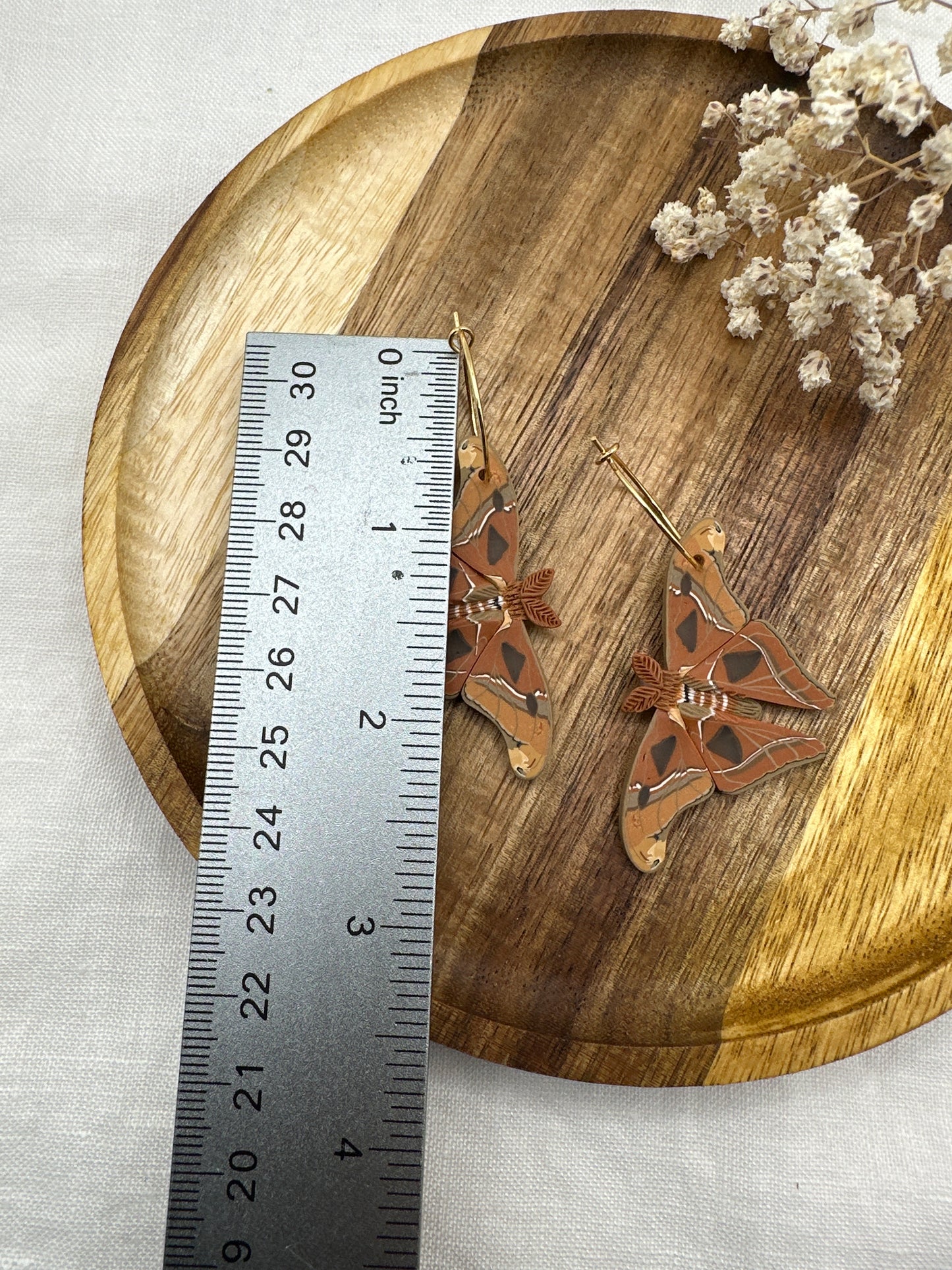 Atlas Moth mini hoops