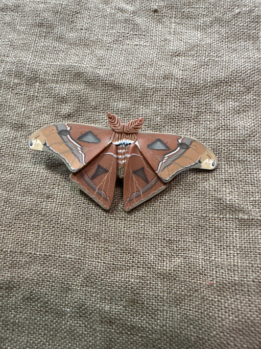 Small Atlas moth hair clip