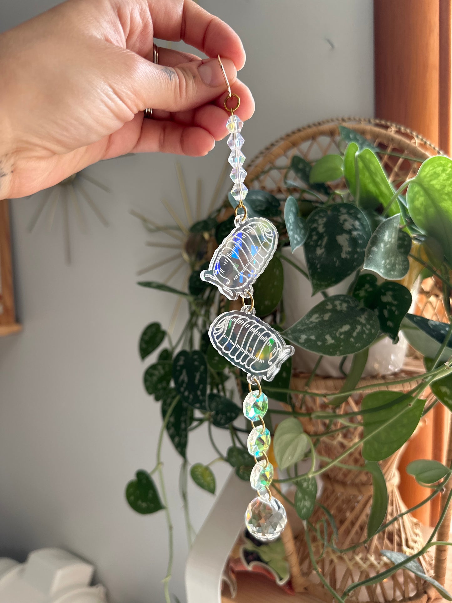 Small acrylic isopod suncatcher