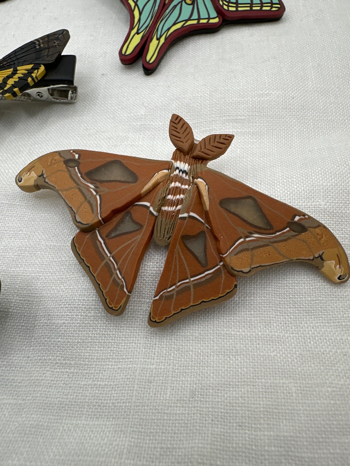 moth hair clips