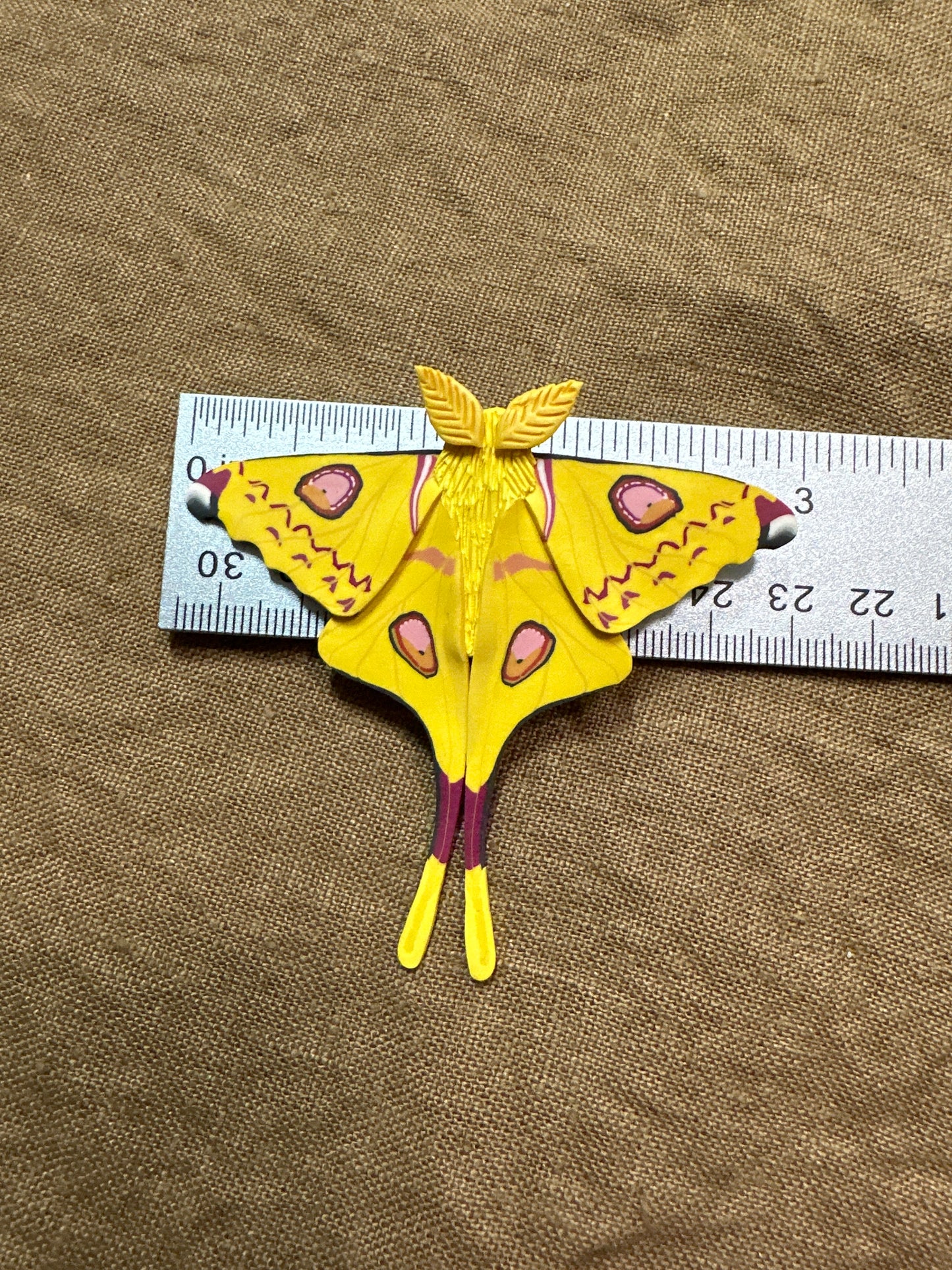 Comet moth hair clip