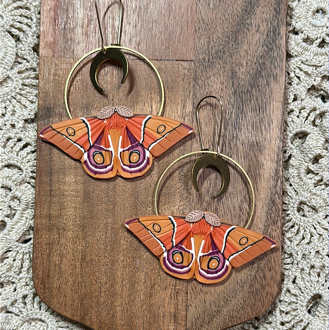 Madagascar bullseye Moth hoop earrings