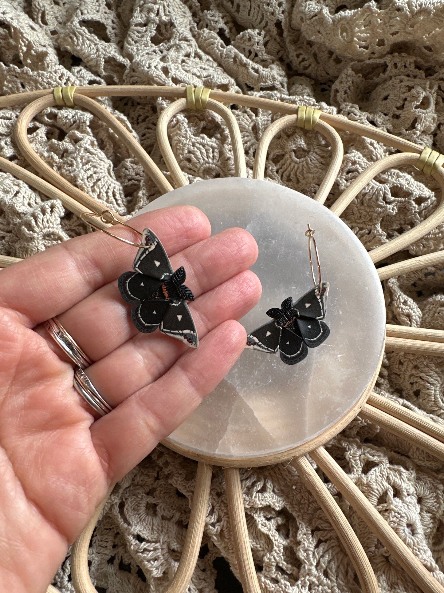 Small Caletta silkmoth hoops