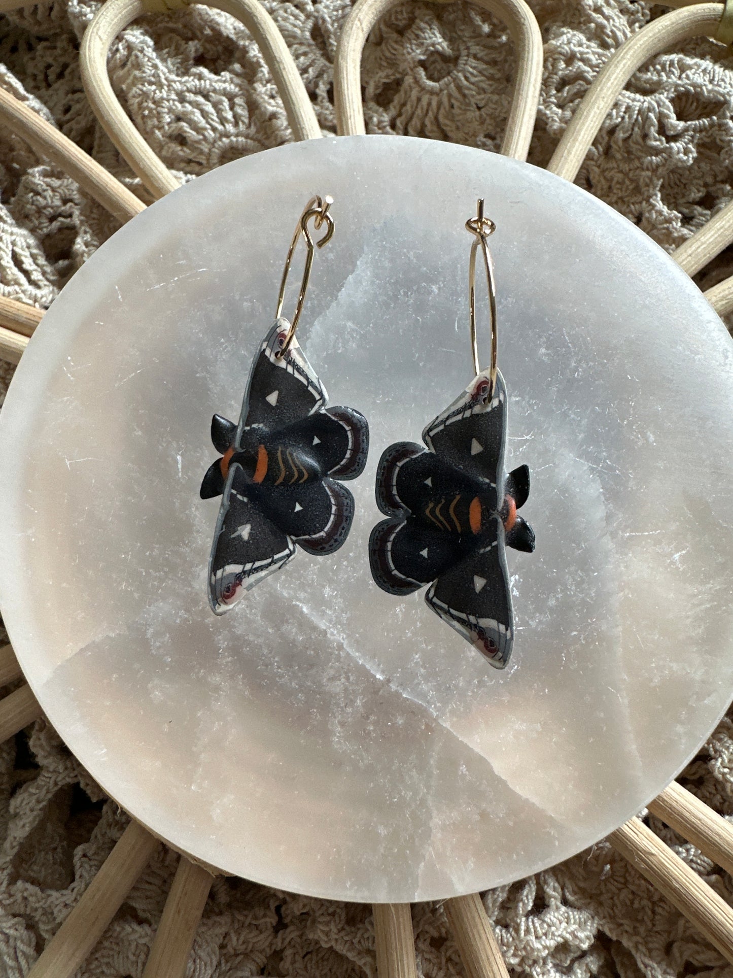 Small Caletta silkmoth hoops
