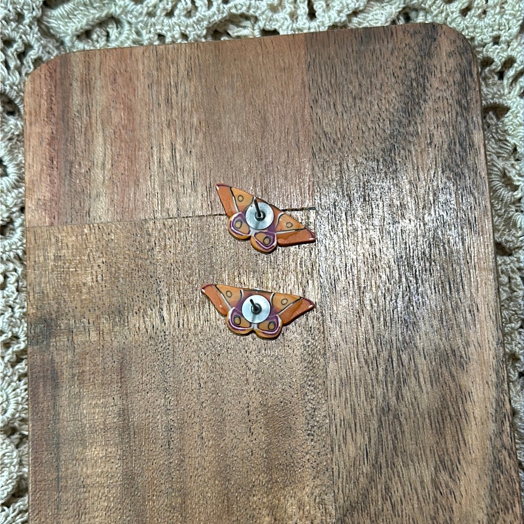 Micro mini Madagascar bullseye  moth studs