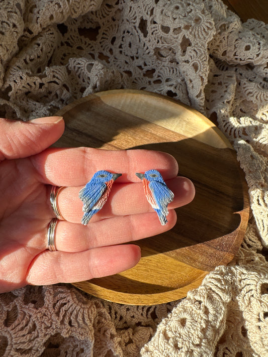 Eastern bluebird studs