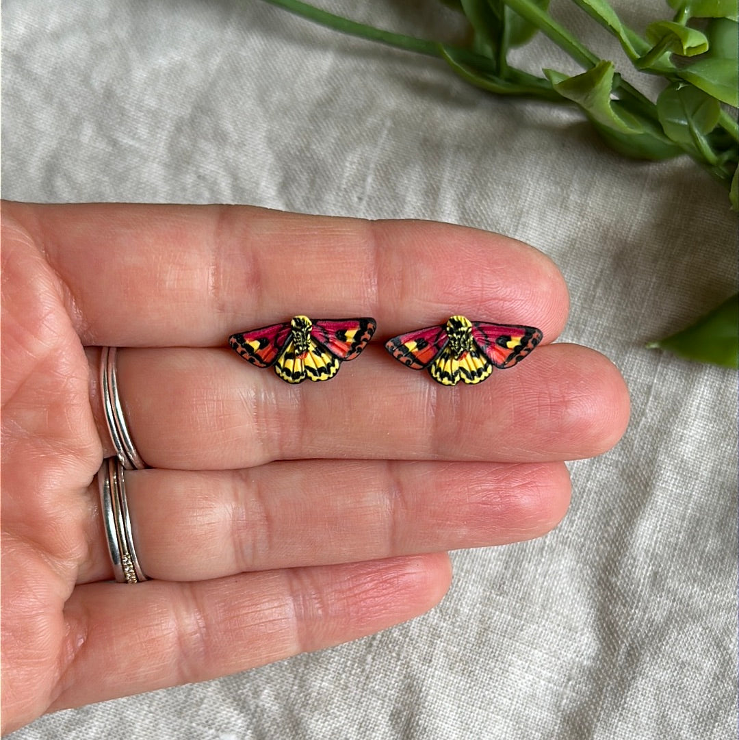 Micro mini Western sheep moth studs