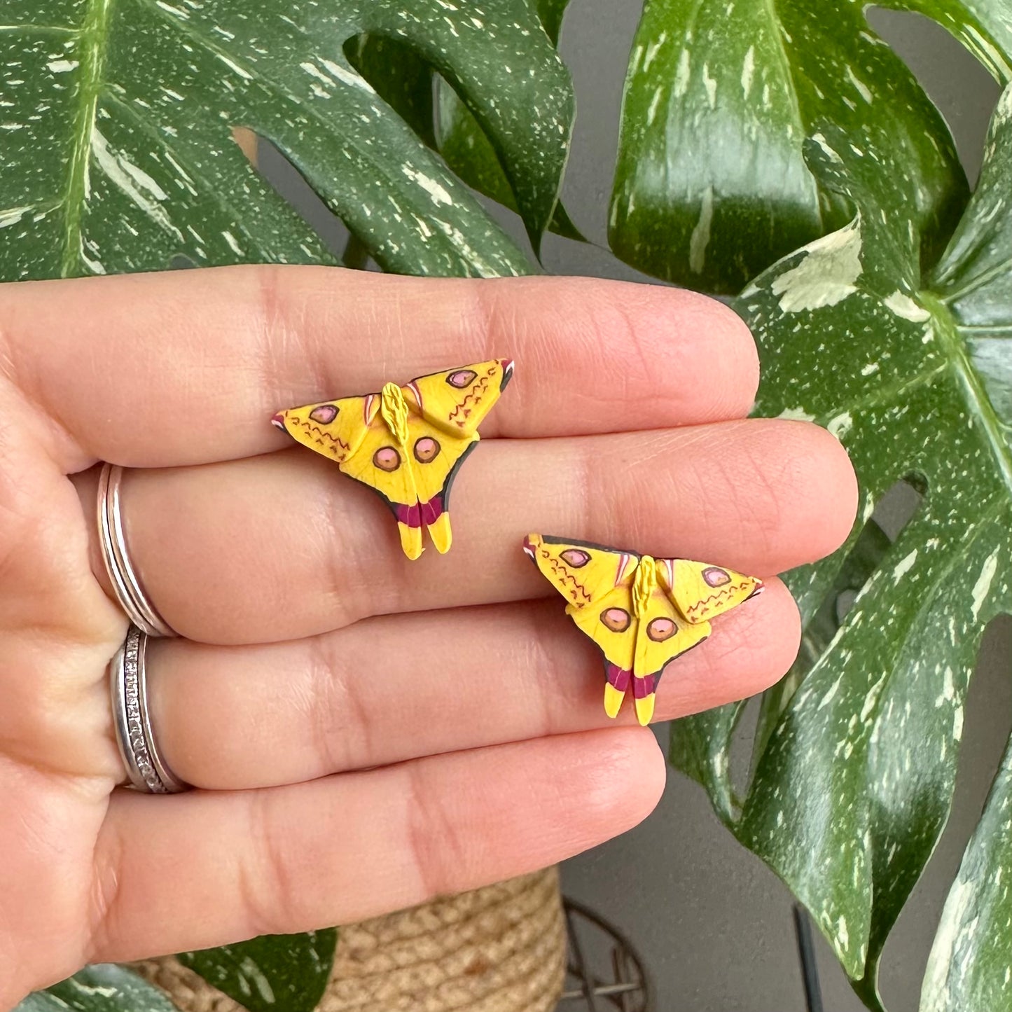 Micro mini Comet Moth studs
