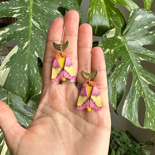 Rosy Maple moth moon dangles